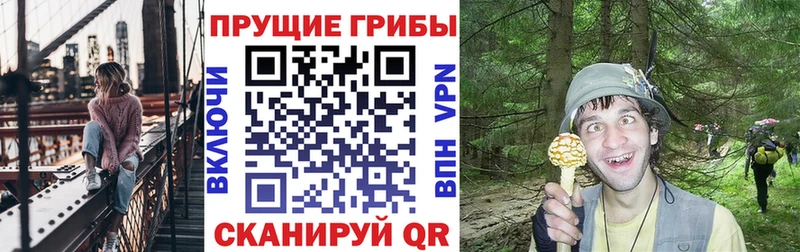 Галлюциногенные грибы GOLDEN TEACHER  Северо-Курильск 